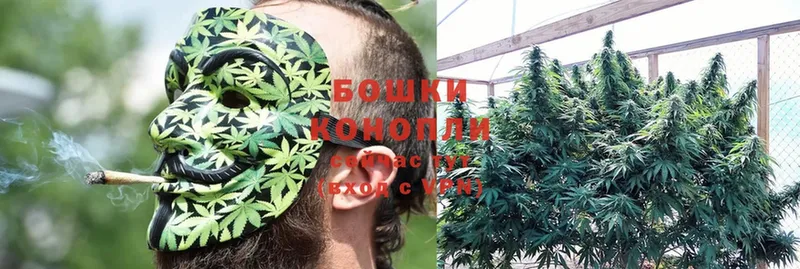 Шишки марихуана SATIVA & INDICA  Егорьевск 